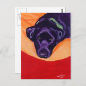 Carte Postale Tableau noir Labrador Staring (Devant / Derrière)