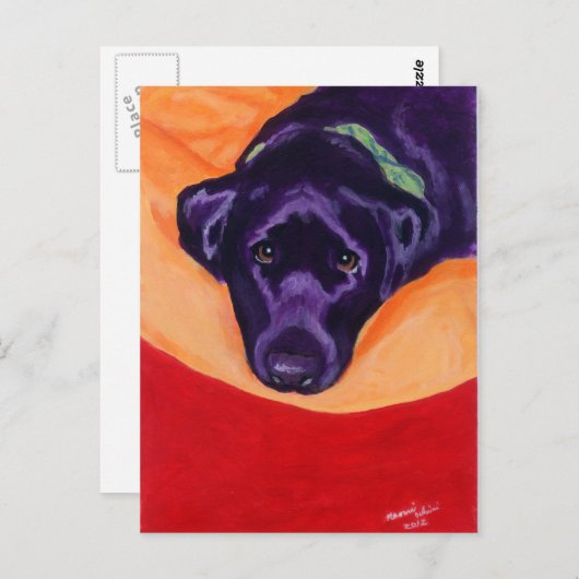 Carte Postale Tableau noir Labrador Staring (Devant / Derrière)