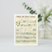 Carte Postale Tableau pédagogique pour la classification des Pla (Debout devant)