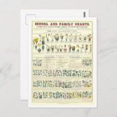 Carte Postale Tableau pédagogique pour la classification des Pla (Devant / Derrière)