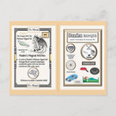 Carte Postale Tableau Périodique Dragon - Platine (Dos)