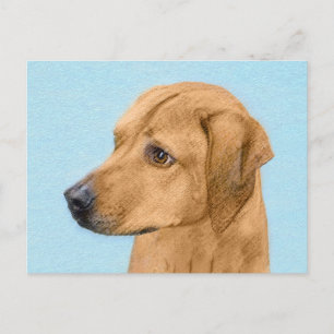 Carte Postale Tableau Rhodesian Ridgeback - Art Chien original