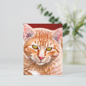 Carte Postale Tableau Tabby Orange (Debout devant)