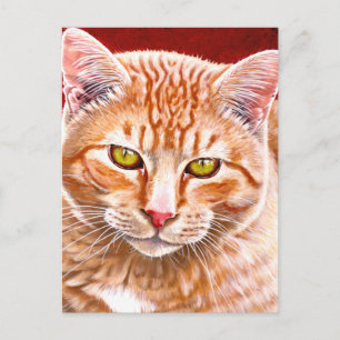 Carte Postale Tableau Tabby Orange