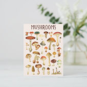 Carte Postale Tableau vintage de champignons  (Debout devant)