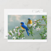 Carte Postale tableaux-fleurs-oiseaux-animaux-de-bureau-l- (Devant / Derrière)