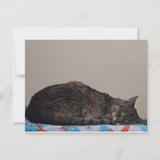 Carte Postale Tablette dormante