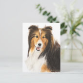 Carte Postale Tablette ou peinture Shetland Sheepdog (Debout devant)
