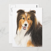 Carte Postale Tablette ou peinture Shetland Sheepdog (Devant / Derrière)