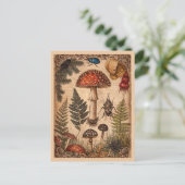 Carte Postale Tabouret en bois vintage Ferns Beetles (Debout devant)