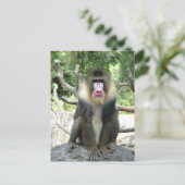 Carte Postale Tabouret joyeux, mignon, intelligent et amical (Debout devant)