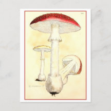 Tabouret rouge vintage / Illustration de champigno