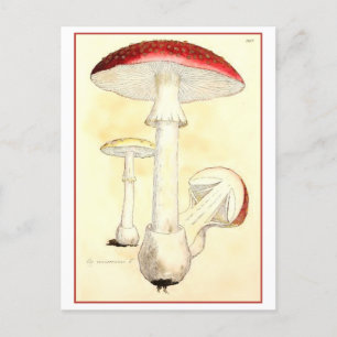 Carte Postale Tabouret rouge vintage / Illustration de champigno