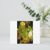 Carte Postale Taches de rousseur (Debout devant)