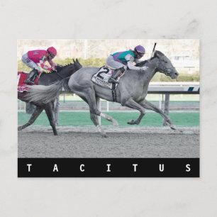 Carte Postale Tacitus gagnant des Wood Memorial Stakes