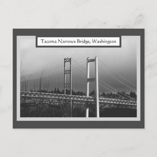 Carte postale Tacoma Narrow Bridge (Devant)