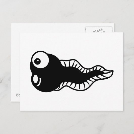 Carte Postale Tadpole (Devant / Derrière)