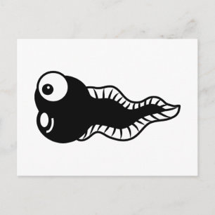 Carte Postale Tadpole