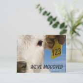 Carte Postale Tag de vache déplacée (Debout devant)