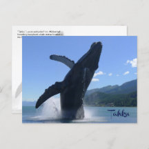 "Tahku"— violation de la statue de baleine à bosse