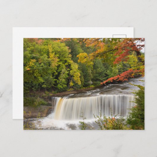 Carte Postale Tahquamenon Falls en automne (Devant / Derrière)