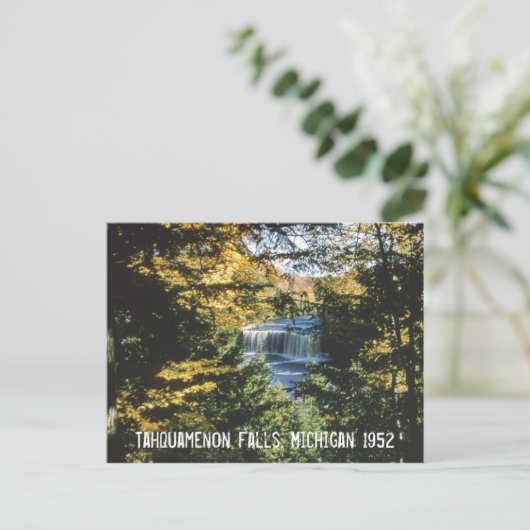 Carte postale Tahquamenon Falls Michigan (Debout devant)