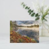 Carte Postale Tahquamenon | Paradise, Michigan (Debout devant)