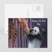 Carte Postale Tai Shan s'embrasse de Miss Sniffy (Devant / Derrière)