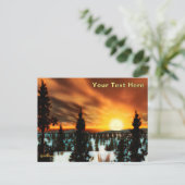 Carte Postale Taiga Sun (Debout devant)