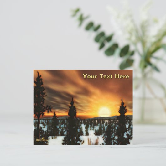 Carte Postale Taiga Sun (Debout devant)