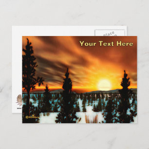 Carte Postale Taiga Sun