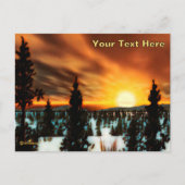 Carte Postale Taiga Sun (Devant)