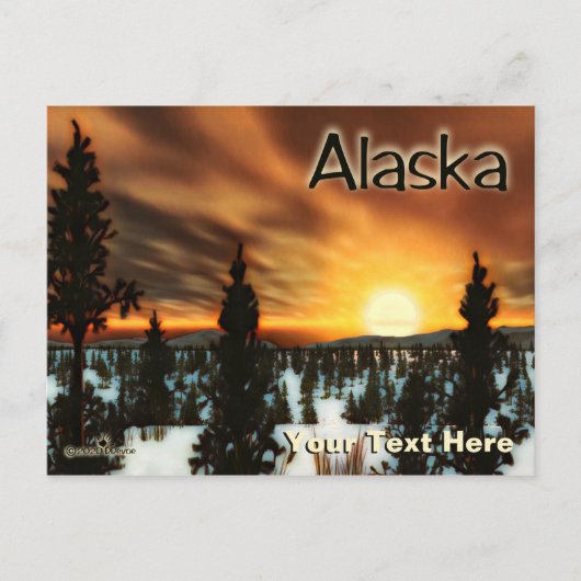 Carte Postale Taïga Sun - Alaska (Devant)