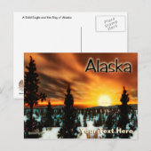 Carte Postale Taïga Sun - Alaska (Devant / Derrière)