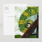 Carte Postale Tail de Chameleon (Devant / Derrière)