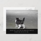 Carte Postale Tail Up (Kitten) (Devant / Derrière)