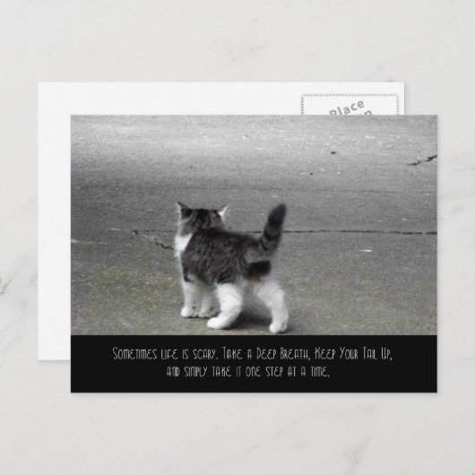 Carte Postale Tail Up (Kitten) (Devant / Derrière)