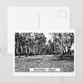 Carte postale, Taille : Carte postale standard, (Devant / Derrière)