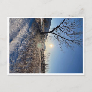 Carte postale, taille : Carte postale standard, pa