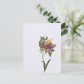 Carte postale, Taille : Carte postale standard, Pa (Debout devant)