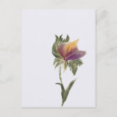 Carte postale, Taille : Carte postale standard, Pa (Devant)