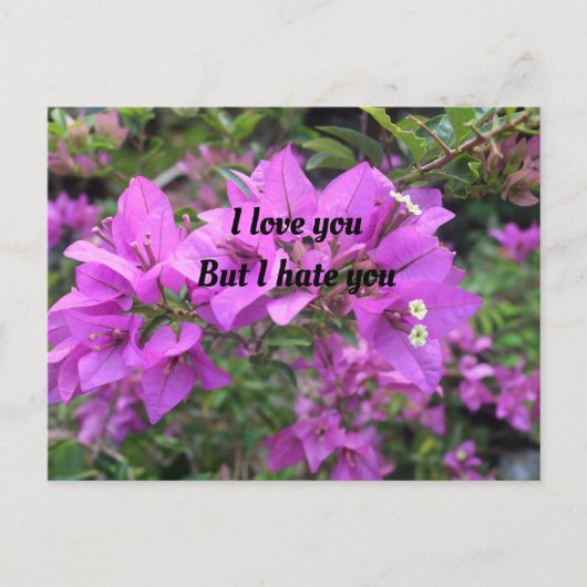 Carte postale, Taille : Carte postale standard, Pa (Devant)