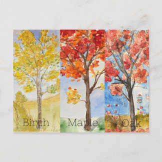 Carte postale, Taille : Carte postale standard, Pa