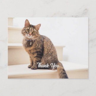 Carte postale, Taille : Carte postale standard, Pa