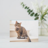 Carte postale, Taille : Carte postale standard, Pa (Debout devant)