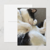 Carte postale, Taille : Carte postale standard, Pa (Devant / Derrière)