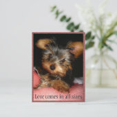 Carte Postale Taille de l'amour Yorkie (Debout devant)