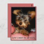 Carte Postale Taille de l'amour Yorkie (Devant / Derrière)
