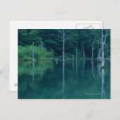 Carte Postale Taisho Pond (Devant / Derrière)