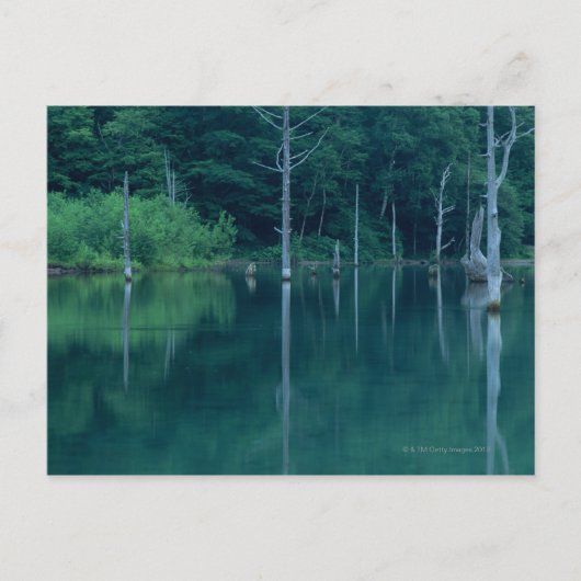 Carte Postale Taisho Pond (Devant)